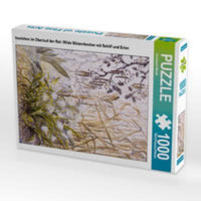 CALVENDO Puzzle Inselchen im Oberlauf der Rot: Wilde Märzenbecher mit Schilf und Erlen | 1000 Teile Lege-Größe 64x48cm Foto-Puzzle für glückliche Stun