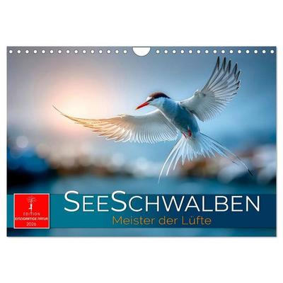 Seeschwalben - Meister der Lüfte (Wandkalender 2026 DIN A4 quer), CALVENDO Monatskalender
