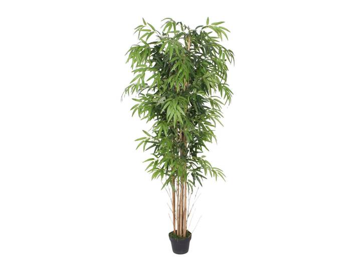 Kunstpflanze Bambus 180 cm, Grün, Kunststoff, 180 cm, Dekoration, Blumen & Blumentöpfe, Kunstpflanzen