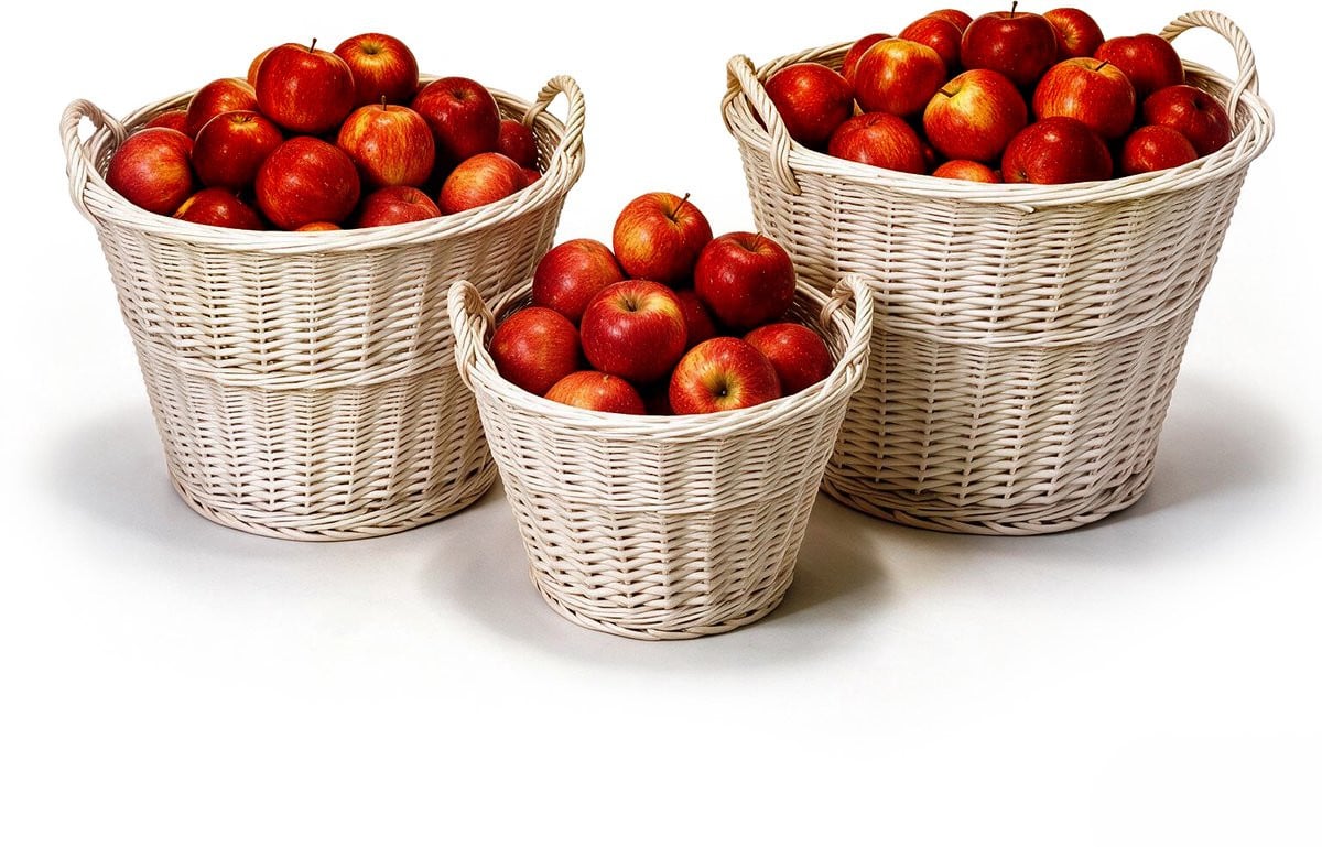 BOGATECO Set van 3 Ronde Rieten Manden met Handvatten, Wit, Diameter: 40 cm, 50 cm en 60 cm