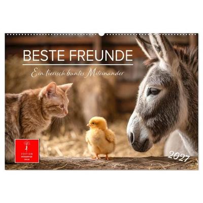 Beste Freunde - ein tierisch buntes Miteinander (Wandkalender 2027 DIN A2 quer), CALVENDO Monatskalender