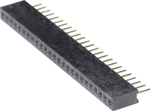 BKL Electronic Buchsenleiste (Standard) Anzahl Reihen: 1 Polzahl je Reihe: 25 10120602