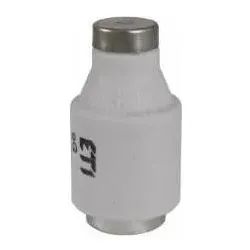 Eti 002313403 AC/DC Sicherungseinsatz DIII gG 63A/500V (Typ D, Passive Bauelemente