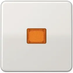 Jung Wippe Lichtfenster lgr CD 590 KO LG