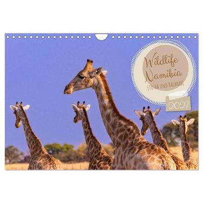 Wildlife Namibia - Etosha und Kalahari (Wandkalender 2027 DIN A4 quer), CALVENDO Monatskalender