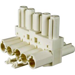 Adels-Contact 167155 T-Verteiler T-Verteiler Gesamtpolzahl: 5 + PE 20 A Weiß 100 St.