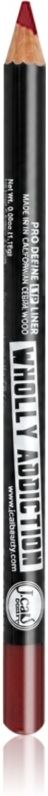 J.Cat Beauty Wholly Addiction contour lip pencil shade 210 Red Hot 1.76 g