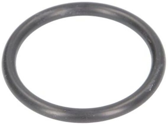 Evert Guarnizione O-RING (33,5x3,55) per martinetti ZL207101017
