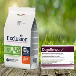 Notfallpaket für Hunde bei ERBRECHEN