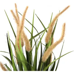 Hjh Office, Kunstpflanzen, Cortaderia I (78 cm)