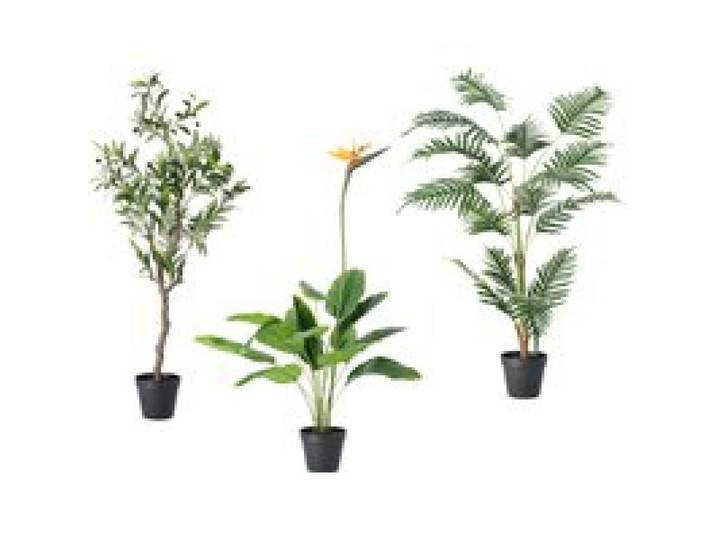 LIVARNO® Plante artificielle