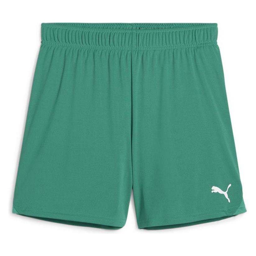 Puma teamGOAL Shorts Wmns (M) (705754_05)