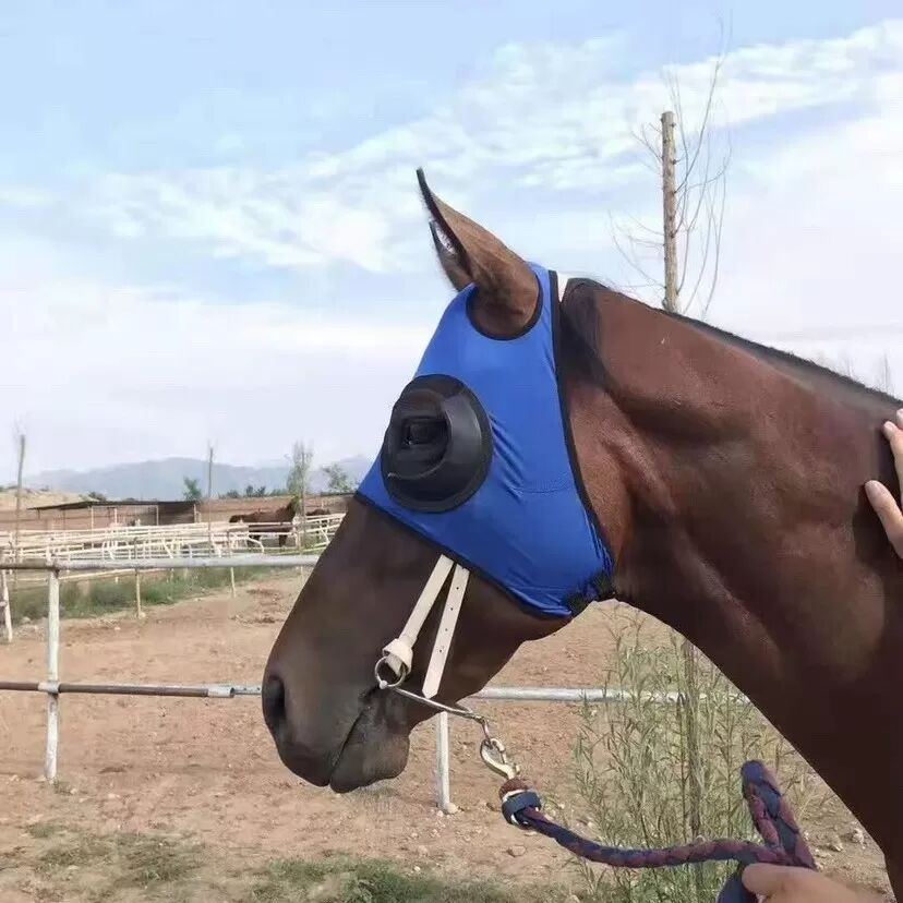 INF Winddichte Pferdemaske mit Mesh-Augenabdeckung - Sanddichte Reitausrüstung Blau