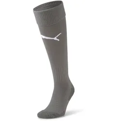 PUMA Team Liga Core Stutzenstrümpfe smoked pearl/puma white 35-38