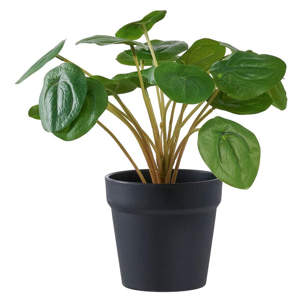 House Nordic Pelia (28 cm) (46-9501005)