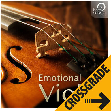 Best Service Emotional Violin Crossgrade