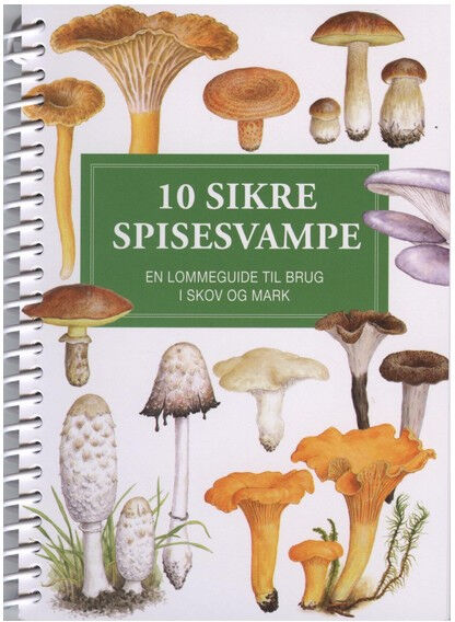 Exlibris Media 10 Sikre Spisesvampe - Lommeguide