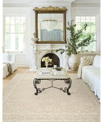 Nabela Noor Home x Livabliss Asha Traditional Area Rug