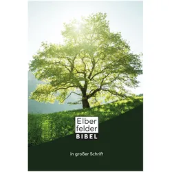 Elberfelder Bibel in grosser Schrift, Fachbücher