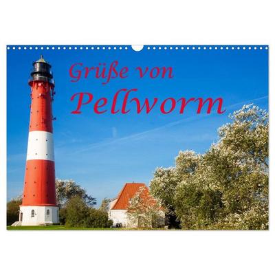 Grüße von Pellworm (Wandkalender 2026 DIN A3 quer), CALVENDO Monatskalender