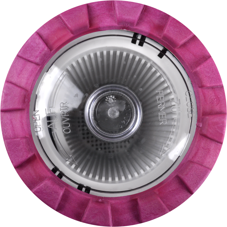 BWT PROCOPI Pompe de filtration piscine BWT Eurostar II