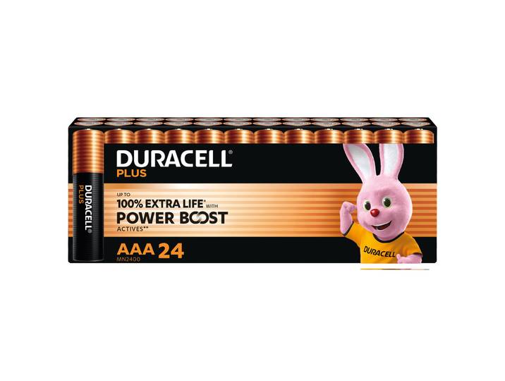Duracell Pile alcaline AAA / LR3 Plus - Lot de 24
