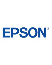 Epson Erase Red Color Embedded Option Lizenz OPTION (C12C938781)
