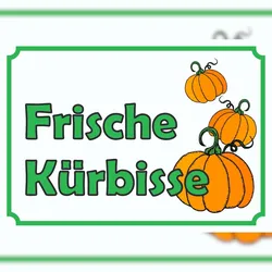 HB-Druck Verkaufsschild Schild Kürbis zu verkaufen  A2 (420x594mm)