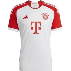 ADIDAS Herren Trikot FC Bayern München 23/24 Heim, Größe XL in Grau Grau