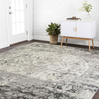 Alexander Home Contessa Distressed Transitional Medallion Rug