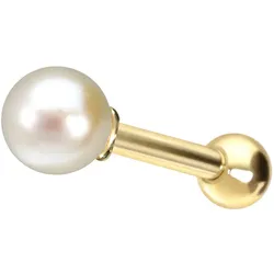 14/18 Karat Gold Ohrpiercing ECHTE FRISCHWASSERPERLE