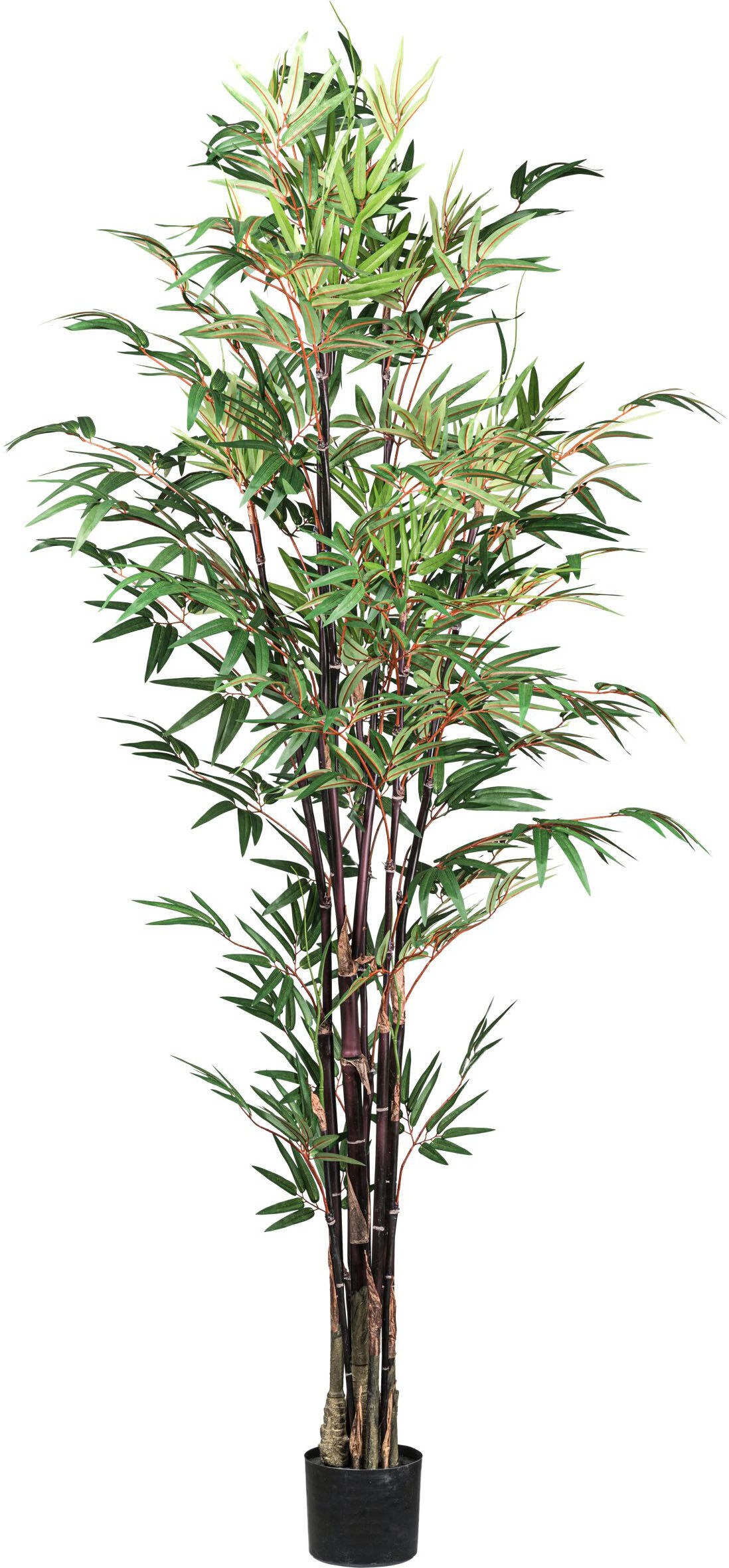 Kunstpflanze CREATIV GREEN "Bambus Chinese Wonder", grün, H:190cm, Kunstpflanzen, Kunstpflanze, mit 7 Stämmen