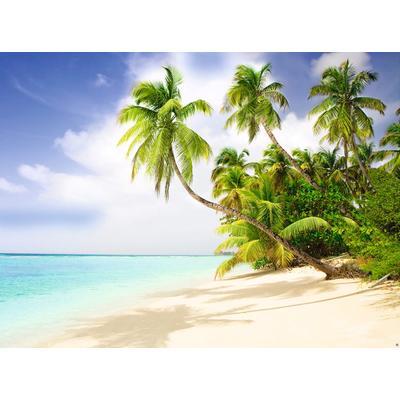 Fototapete PAPERMOON "Beach in the South Seas", bunt, B:2,5m L:1,86m, Vlies, Tapeten