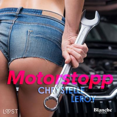 Motorstopp - erotisk novell - Chrystelle Leroy, Audio, 9788726424768