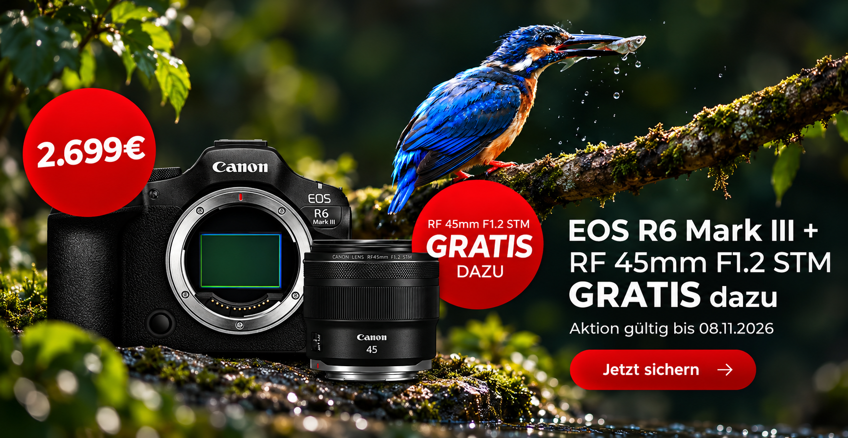 Canon EOS R6 Mark III + Canon RF 45mm F1.2 STM