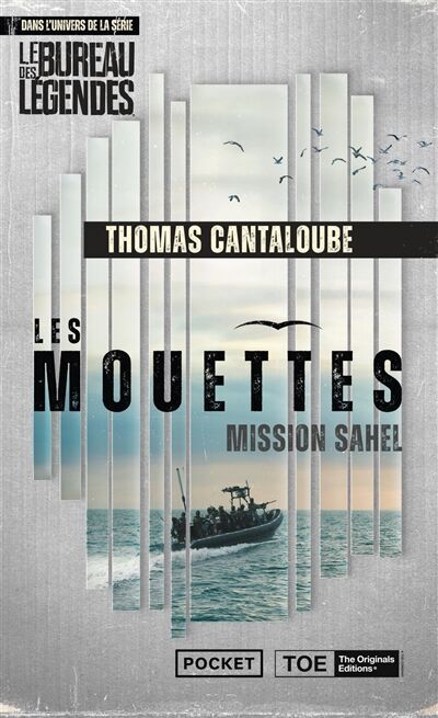 Thomas Cantaloube - Les mouettes : mission Sahel : dans l'univers de la série Le bureau des légendes - Preis vom 17.10.2026 19:25:27 h