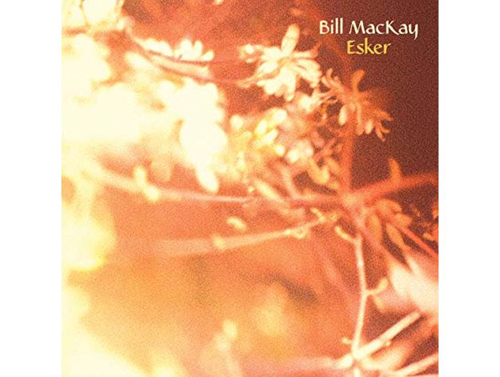 Bill Mackay - Esker
