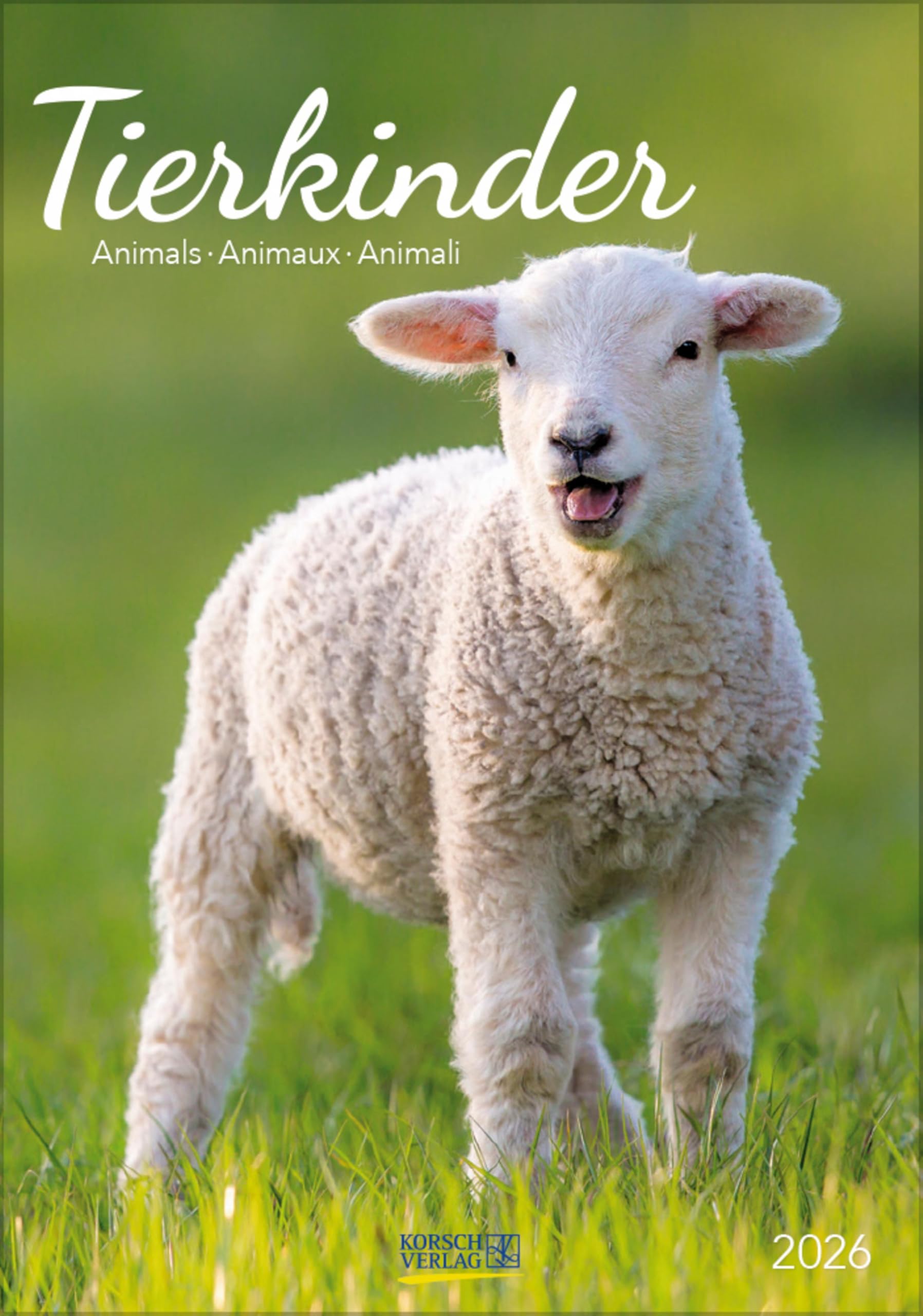 Tierkinder 2026 - Preis vom 11.10.2026 03:10:56 h