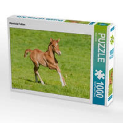 CALVENDO Puzzle Warmblut Fohlen | 1000 Teile Lege-Größe 64x48cm Foto-Puzzle für glückliche Stunden