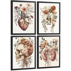 POSTER Set aus 4 Anatomie Drucke und Wandbilder mit Herz Nieren Schädel und Becken Botanischer Stil Wanddekoration Größe Schwarzer Rahmen A3