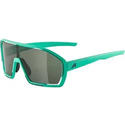 ALPINA Herren Brille BONFIRE, Größe ONE SIZE in Grün Grün