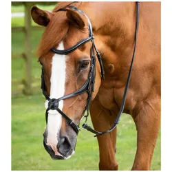 Premier Equine, Zaumzeug