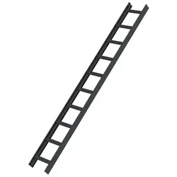 Dachleiter Anthrazitgrau 10 Sprossen