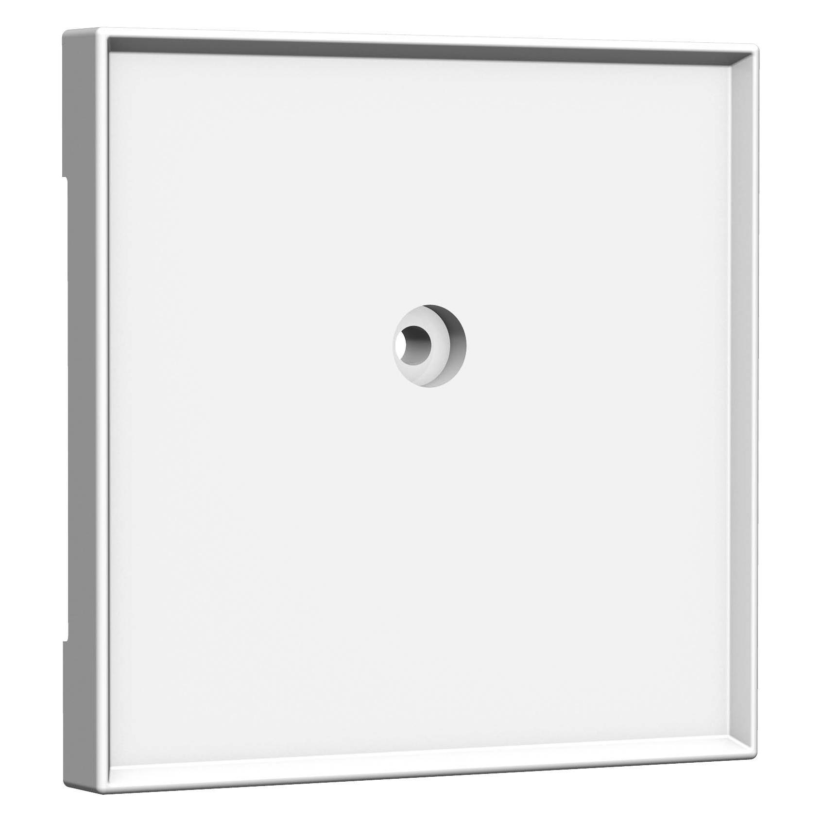 Homeway Zentralplatte (HW-ZB0RWG55V1)