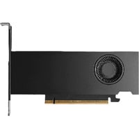 RTX PRO 2000 Blackwell (LP), Grafikkarte 4x Mini-DisplayPort, Retail