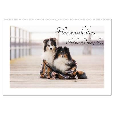Herzensshelties - Shetland Sheepdogs (Wandkalender 2026 DIN A2 quer), CALVENDO Monatskalender