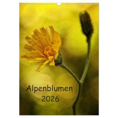 Alpenblumen 2026 (Wandkalender 2026 DIN A3 hoch), CALVENDO Monatskalender
