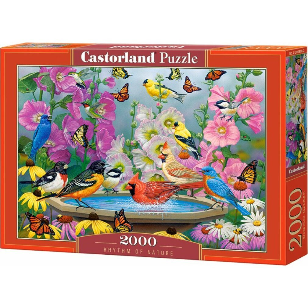 Castorland Puzzel Rhythm of Nature 2000 stukjes