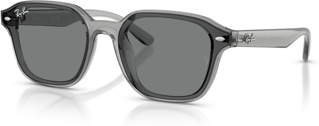 Ray-Ban 4458D (645087)