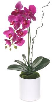 Jenny Silks Purple Phalaenopsis Orchid in White Cylinder Pot